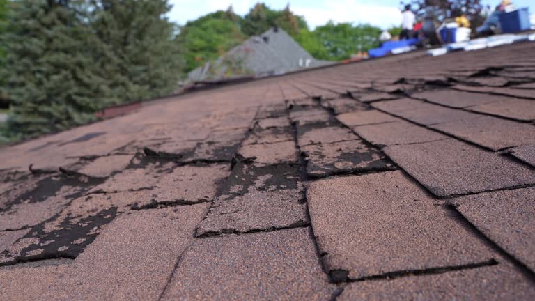 Best Commercial Roofing Services  in Jonesboro, AR